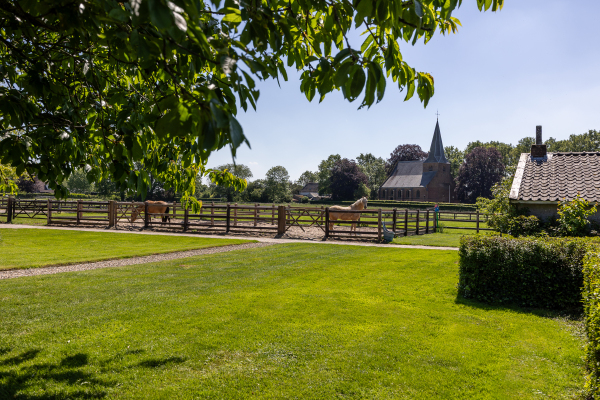 photo 54 Uilengat 5